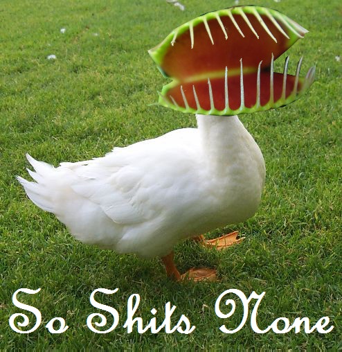 soshitsnone